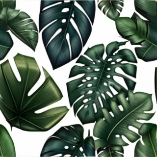 tropical leaves png