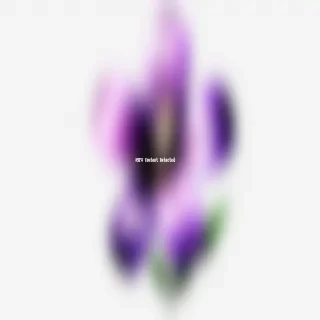 purple flower png