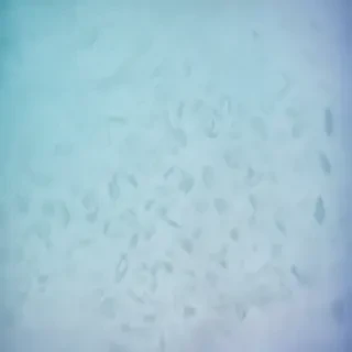 blue pastel background