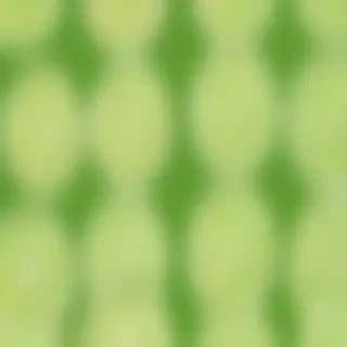 lime green background