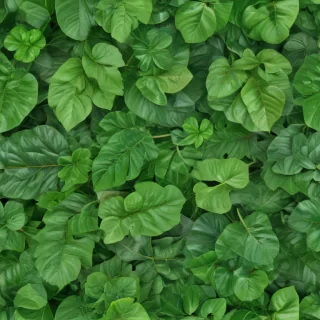 green leaf background
