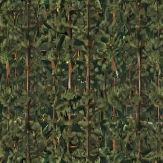 pine trees transparent background