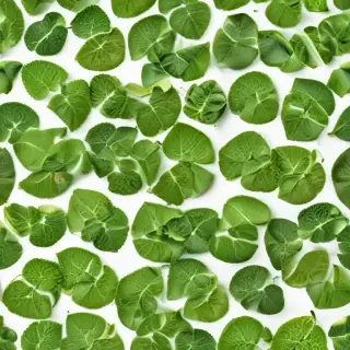 green on white background