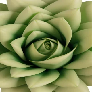 green flower png