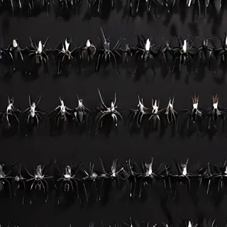 spider background