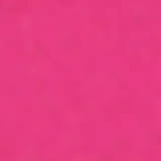 hot pink background