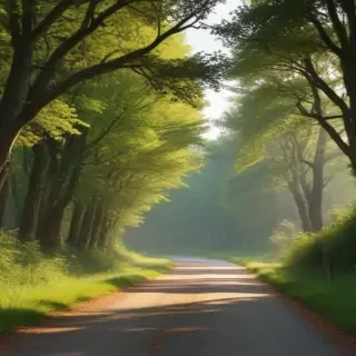 country road
