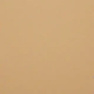 beige plain background