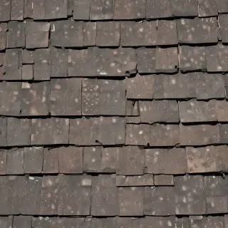 shingles images