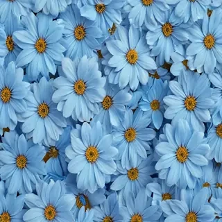 blue flower background