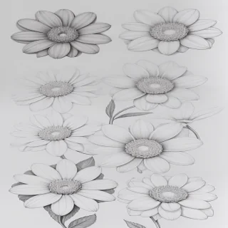 flower aesthetic drawings