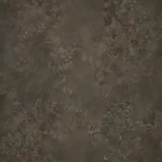 border bg