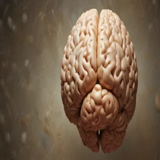 brain background
