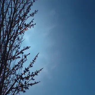 aesthetic blue pictures