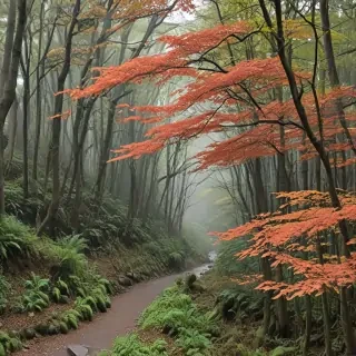 freeuse japan