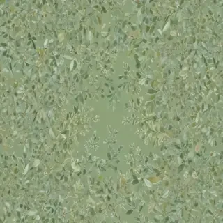 sage green bg