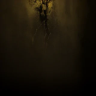 wallpaper black gold
