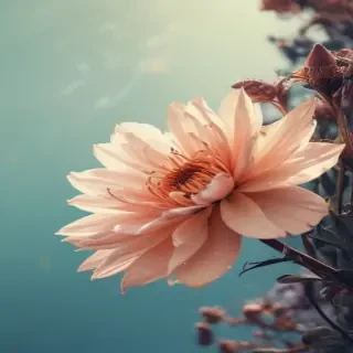 neutral iphone backgrounds