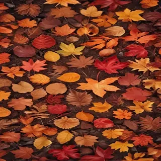 wallpaper autumn iphone