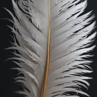 feather design