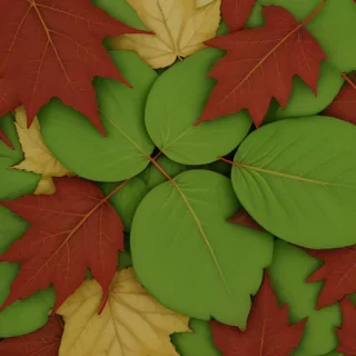 leaves no background