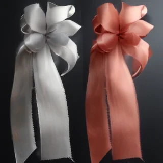 ribbon transparent