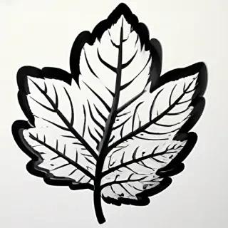 clipart of leaf black and white