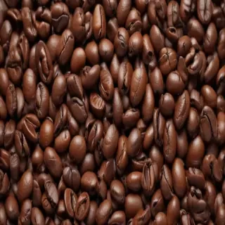 coffee bean png
