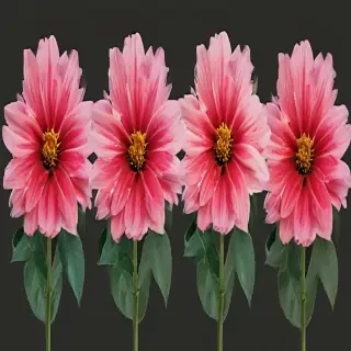 aesthetic flower png