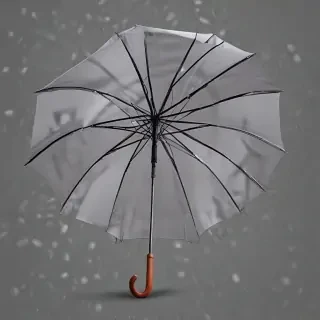 umbrella transparent background