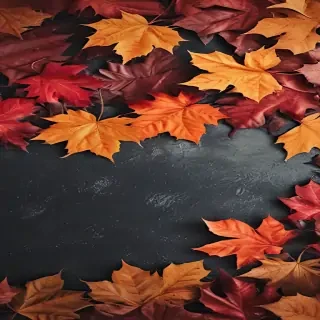 iphone fall wallpaper