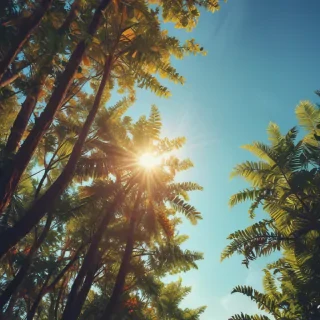 summer iphone backgrounds