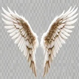 angel wings transparent background
