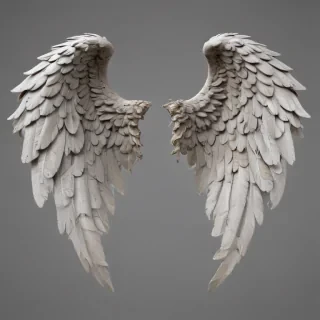 angel wings png transparent