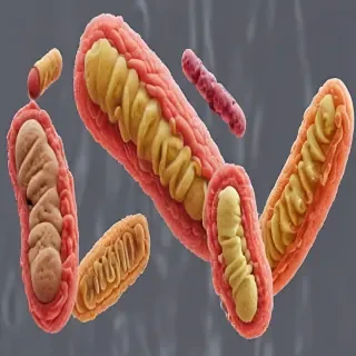 bacteria png