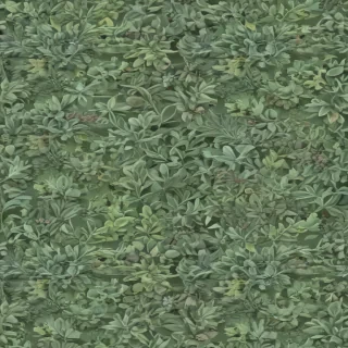 sage green wallpaper iphone