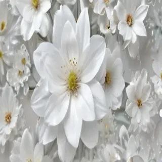 transparent white flower