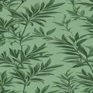 sage green wallpaper aesthetic