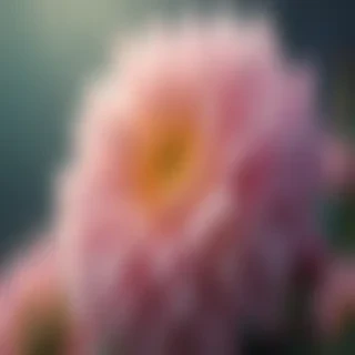 hd iphone wallpapers aesthetic