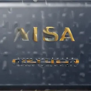 visa logo