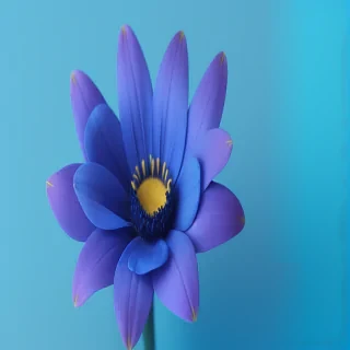 blue background flower