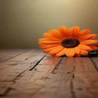 cute wallpapers brown