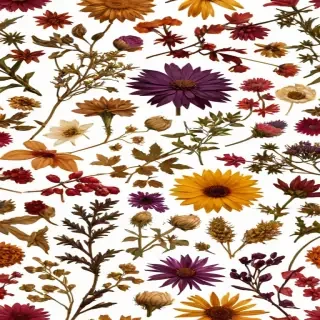 dried flowers png
