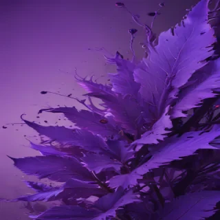 computer wallpaper purple