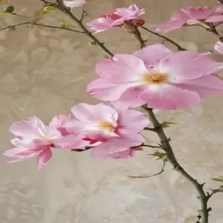 wallpaper cute