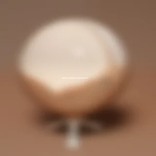 ostrich egg