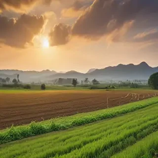 farmland png