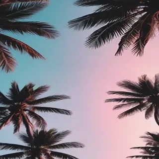 summer backgrounds aesthetic