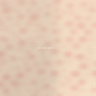 cute plain backgrounds