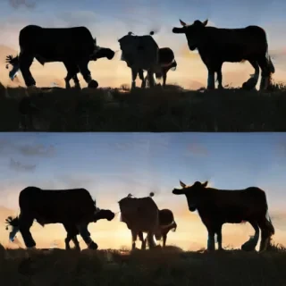 cow silhouette